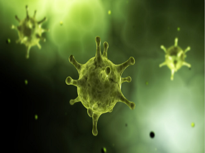 اختبار الأجسام المضادة السريعة: فيروس كورونا جديد
